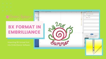 How to import and use the BX format in Embrilliance