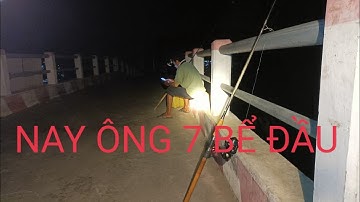 Câu Cá Tra Sông ! Điểm Câu Cá Tra Lúc Trước Toàn Hugo