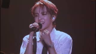 250726 | Congratulations | 전광판뷰 | BOYNEXTDOOR (보넥도) | BOYNEXTDOOR TOUR 'KNOCK ON Vol.1' FlNAL