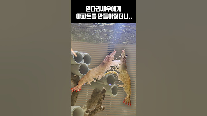 흰다리새우 번식을 위해 아파트 같은 집을 만들어 주었더니...
