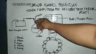 Jalur Kabel Pengisian Aki Motor Honda Tiger/Mega Pro #Aki Cepat Tekor,Drop,Mati#