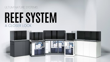 A Closer Look at the UNS Reef System for Saltwater Setups