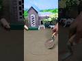 diy tractor video mini water pump science project #shorts #ytshorts