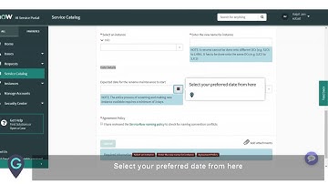 MyGuide: How to rename an instance in HI Service Portal