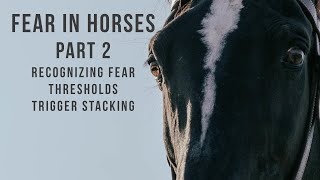 Fear in Horses: part 2 - recognizing fear/thresholds/trigger stacking