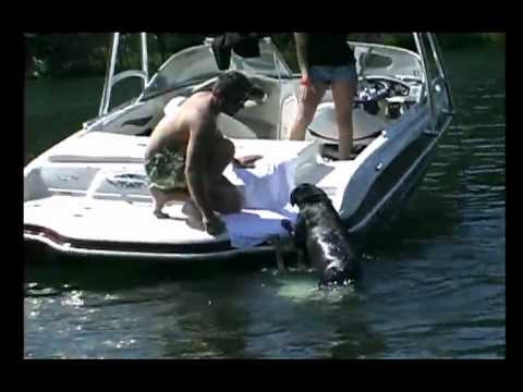 Load A Pup - YouTube
