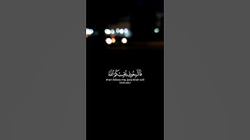 اجمل حالات واتس اب قرأن الكريم القارئ أحمد العجمي 🥺 ( قل ان كنتم تحبون الله )