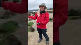 Virtual Field Trip