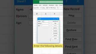 For data entry, use Excel Forms screenshot 5