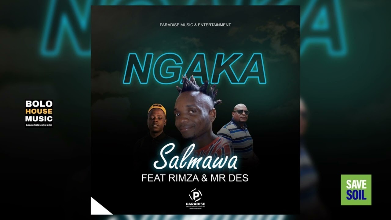 Salmawa - Ngaka [Feat Rimza SA & Mr Des] (Official Audio)