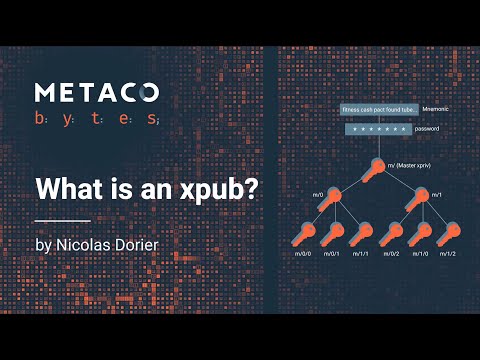 What Is Xpub?