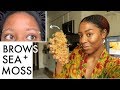 I Used SEA MOSS to REGROW my EYEBROWS for 30 DAYS Straight