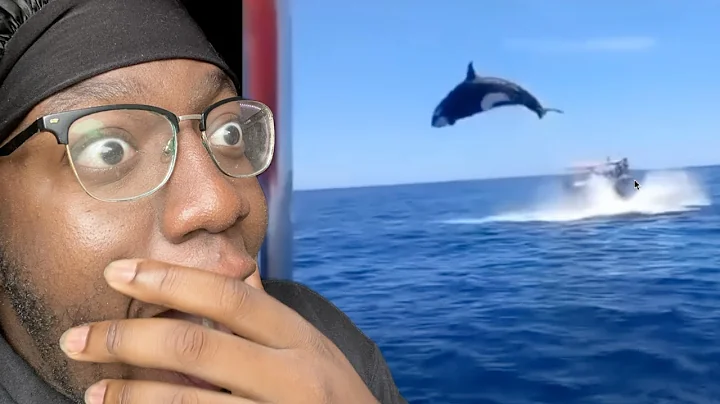 TOP 10 ANIMALS WITH BLACK AIR FORCE ENERGY | KXBBII RXNS