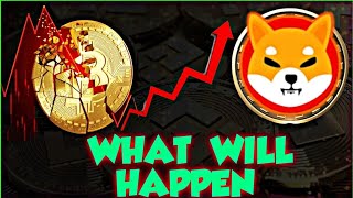 What will Happen to Shiba Inu As The Whole Cryptocurrency is Crashing 