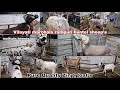 Saste janwar 🤯Vilayati marchala rampuri huntel sheeps | Pure Quality Zing goat's | desi bakriyan 