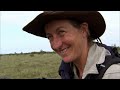 Tracking the Elusive Giant Anteater in Guyana | BBC Earth