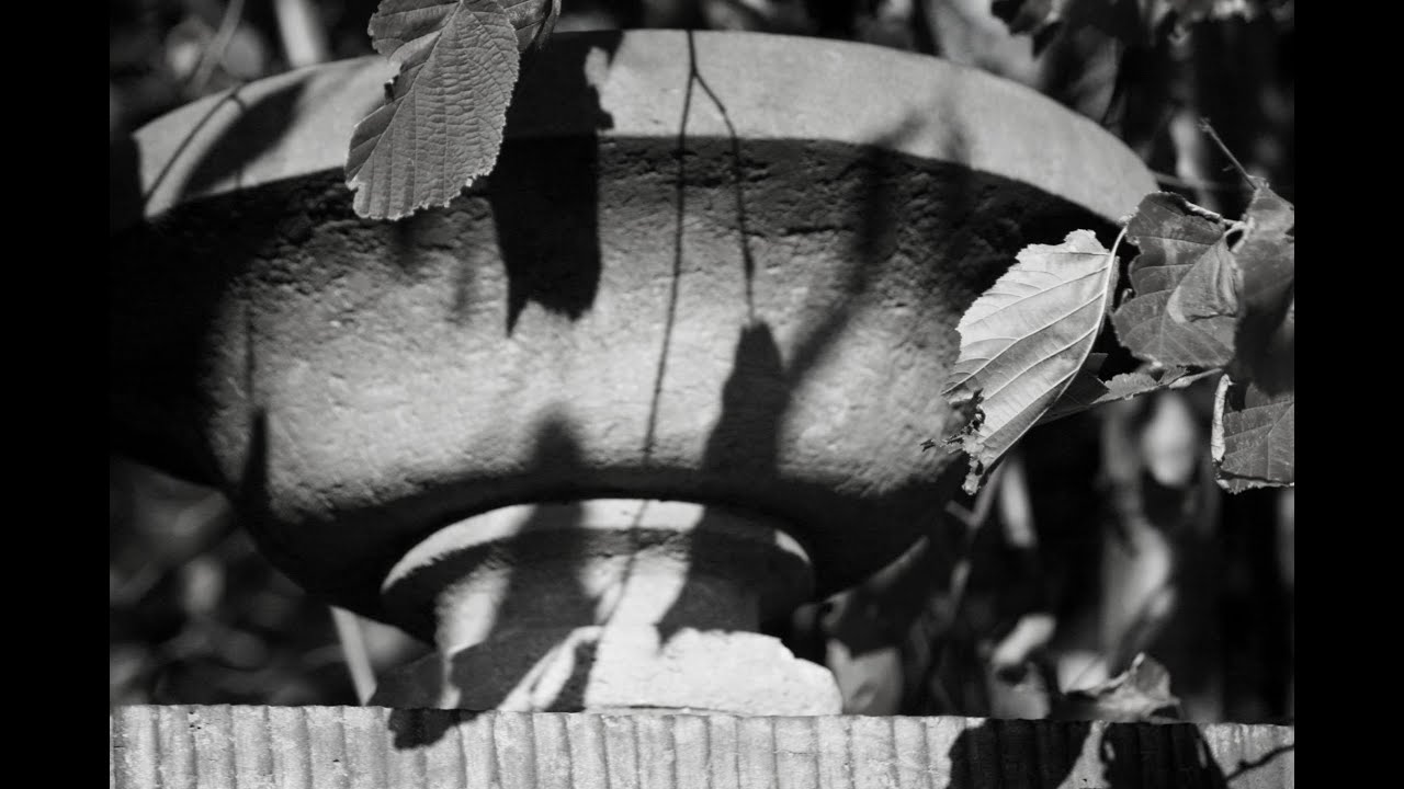 friedemann stolte im garten des verweilens YouTube