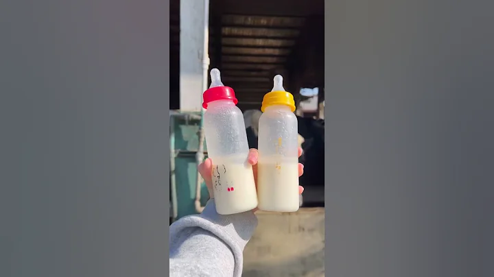 四方鮮乳牧場🐄餵小牛喝奶🍼看牛擠ㄋㄟㄋㄟ - 天天要聞