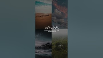 أفلا ينظرون إلى الإبل كيف خلقت من سورة الغاشية بصوت عثمان الحداد