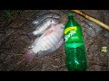 CAPTURA DE PECES CON BOTELLA DE PLÁSTICO - catch fish with plastic bottle fish trap
