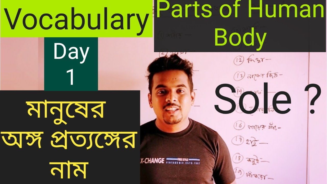 Vocabulary || Human Body Parts Name || মানুষের অঙ্গ প্রত‍্যঙ্গের নাম