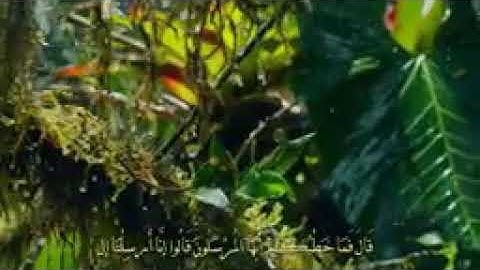 روعة التلاوه صاحب الصوت الجميل للشيخ ممدوح عامر