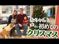 【犬と赤ちゃん】北欧ファミリーのクリスマスVlog🎄 0歳育児×スウェーデン生活🇸🇪1日密着🐶