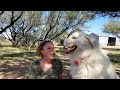 Last Week On Blue Cactus E27 - The Great Pyrenees