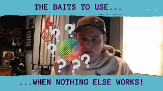 Top Baits for Ice Out Bass Fishing!