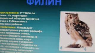 Поливан Г В  Основы орнитологии  Редкие виды птиц Белгородской области