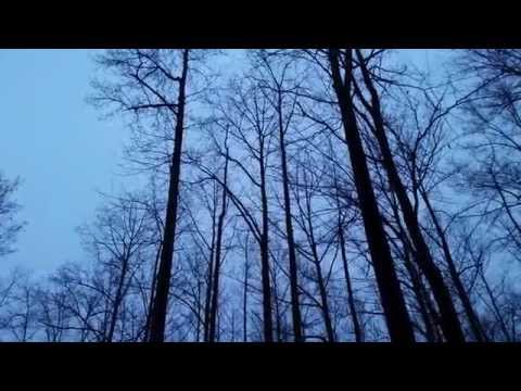 How Rednecks Get A Drone Out Of A Tree