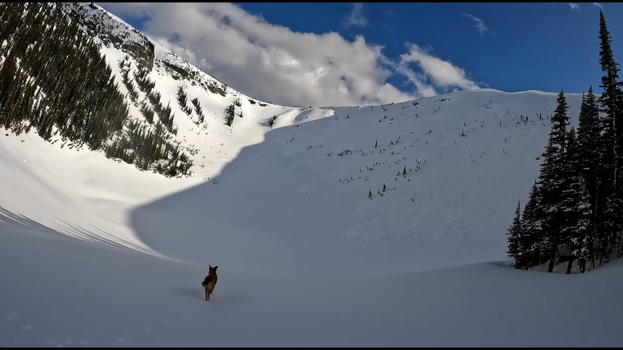 Viking Ridge | Northern BC | 2022 - a year in summary