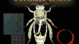 Invisible Limits - Insight (Unreleased Mix)