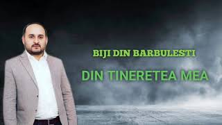 Video thumbnail of "Biji din Barbulesti - Din tineretea mea"