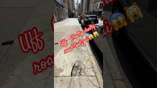 🎉 Big Surprise Reveal… Didn’t See This Coming! #youtubeshorts #ytshorts #shortsviral #trending