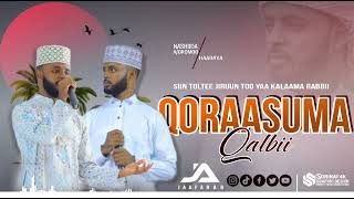 #NEW NESHIIDA QUR'AANA siin tolte