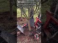 Efficient Mechanical Olive Tree Digging
