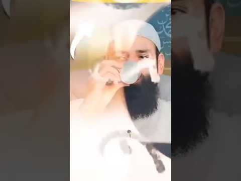 هل لحم البطريق حلال الشيخ محمد بن شمس الدين