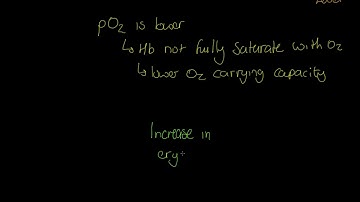 AQA A-level PE: Altitude Training