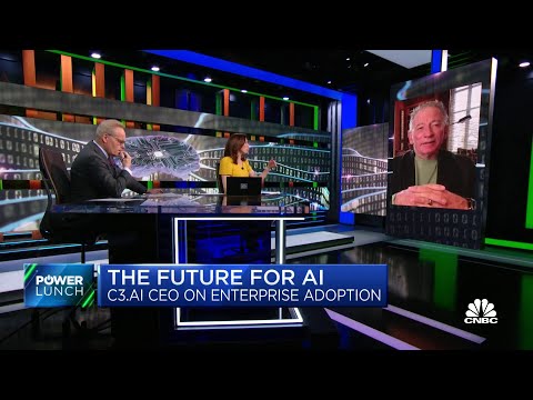 The Googles and the Microsofts look like partners to us, says C3.ai CEO