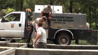 North Georgia Fish Hatchery Keeps State Waters Stocked
