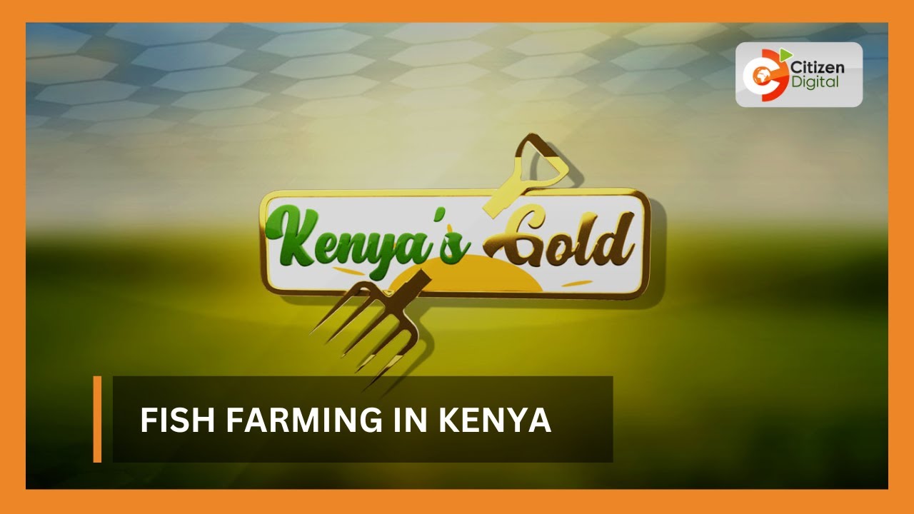 | Kenya's Gold | Fish Farming in Kenya