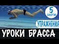 КАК ЗАКРЕПИТЬ ТЕХНИКУ НА ВСЮ ЖИЗНЬ. УРОКИ БРАССА. УРОК 5 @Swimmate.ru