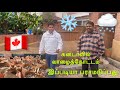     canadian tamil channeltamilvlog tamil 