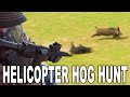 HELICOPTER HOG HUNT 50+ Kills