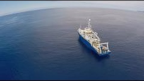 Scientists fear deep-sea mining