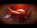Do not believe WhatsApp rumours! - TV9
