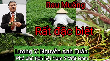 Rau muống chữa bệnh gì tốt nhất - Lương y: Nguyễn Anh Tuấn