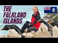 THE FALKLANDS - Travel Vlog 2022 4K