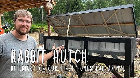 Building a Rabbit Hutch - Preparing for our first homestead animal